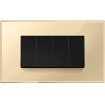 Havells 4M Outer SRK Acrylic Plate Cover Frame